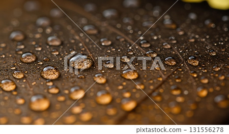Sparkling water droplets grace a textured brown surface, creating a mesmerizing macro view of nature's intricate beauty and refreshing purity. 131556278