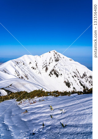 從雷鳥澤的登山道上眺望奧大日山。雪季期間攀登北阿爾卑斯山的奧大日山。 從雷鳥澤的登山道上眺望奧大日山。雪季期間攀登北阿爾卑斯山的奧大日山。 131556400