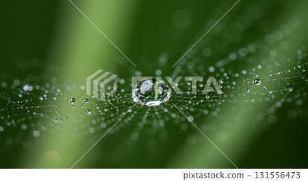 Stunning macro capture of dew drops glistening on an intricate spider web, showcasing nature's delicate artistry and morning freshness 131556473
