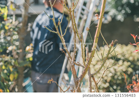 園丁 修剪 男人 131556483
