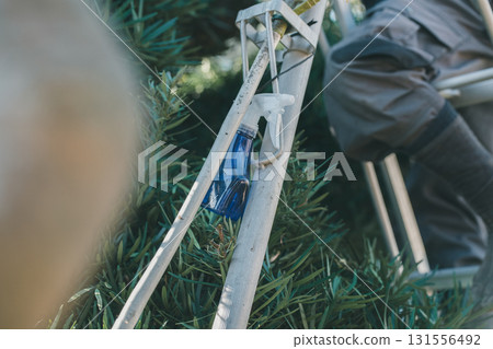 園丁 男人 男 131556492