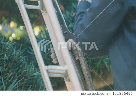 gents, male, males 131556495