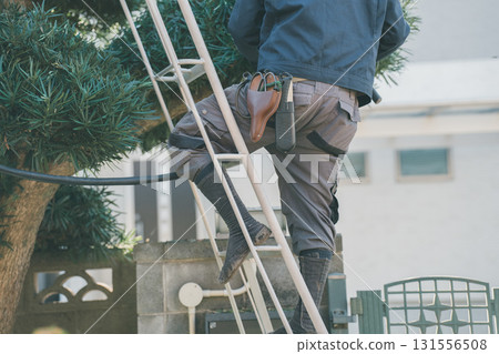 gents, male, man 131556508