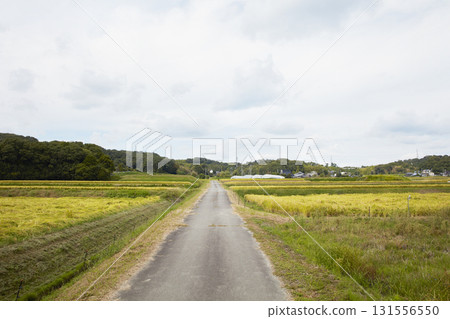 Japanese countryside scenery: Beautiful farming villages Japanese countryside scenery: Beautiful farming villages 131556550