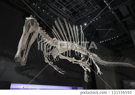 Fukui Prefectural Dinosaur Museum 131556593