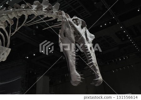 福井縣恐龍博物館 131556614