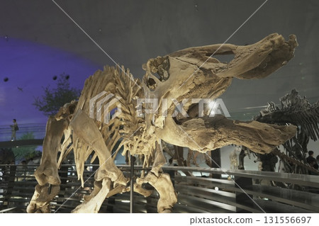 Fukui Prefectural Dinosaur Museum Fukui Prefectural Dinosaur Museum 131556697