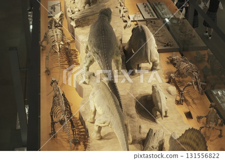 福井縣恐龍博物館 福井縣恐龍博物館 131556822