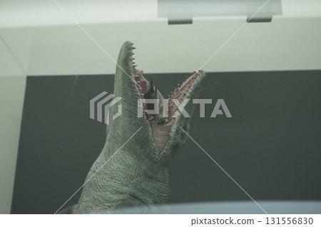 Fukui Prefectural Dinosaur Museum 131556830