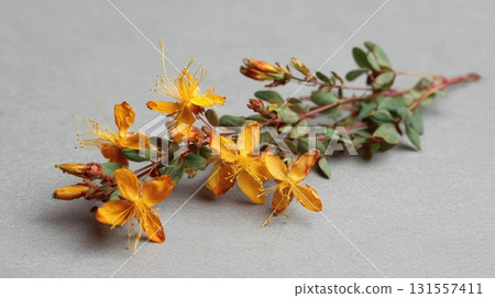 yellow flowers on stone background 131557411