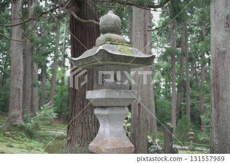 福井縣平泉寺白山神社的風景 福井縣平泉寺白山神社的風景 131557989