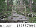 福井縣平泉寺白山神社的風景 131557994