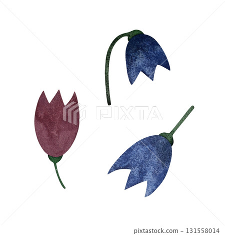 Watercolor tulip buds. Three stylized blue and pink tulip buds isolated on white background. Watercolor tulip buds. Three stylized blue and pink tulip buds isolated on white background. 131558014