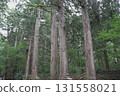 福井縣平泉寺白山神社的風景 131558021