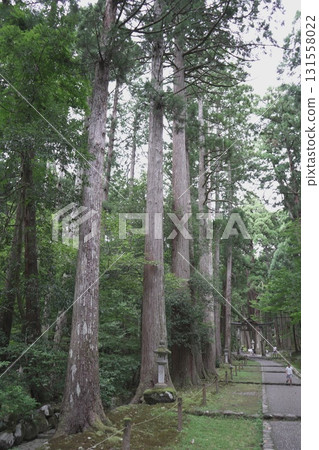 福井縣平泉寺白山神社的風景 131558022