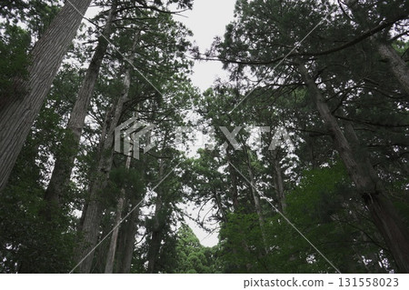 福井縣平泉寺白山神社的風景 福井縣平泉寺白山神社的風景 131558023