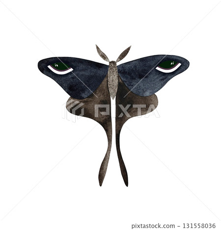 Watercolor blue brown moth. Stylized blue brown moth with eyes on wings isolated on white. 131558036