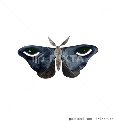 Watercolor blue brown moth. Stylized blue brown moth with eyes on wings isolated on white. 131558037