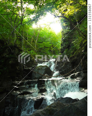 The landscape of the Oirase Stream The landscape of the Oirase Stream 131558067