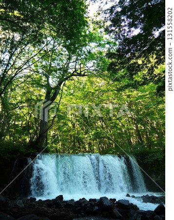 奧入瀨溪的景觀 131558202