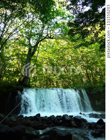 The landscape of the Oirase Stream 131558203