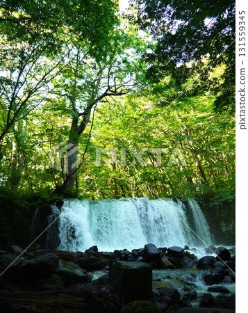 The landscape of the Oirase Stream 131559345