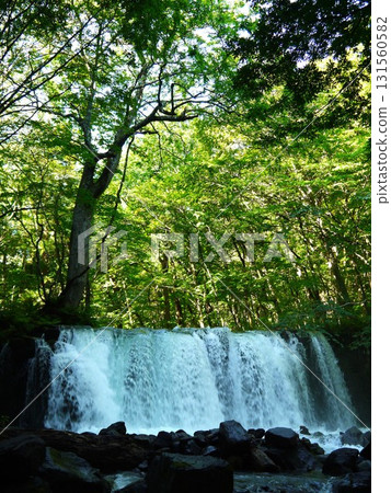 綠意盎然的銚子大瀑布 綠意盎然的銚子大瀑布 131560582