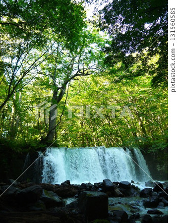 Choshi Falls surrounded by green trees 131560585