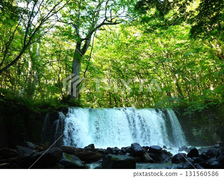 The landscape of the Oirase Stream The landscape of the Oirase Stream 131560586
