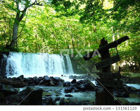 綠意盎然的銚子大瀑布 綠意盎然的銚子大瀑布 131561120