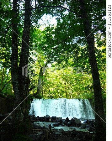 流淌在綠蔭間的銫子瀑布 131561123