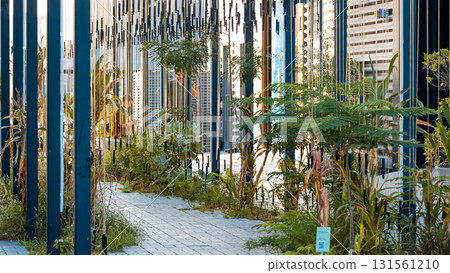 Green wall, eco friendly vertical garden , Modern green architecture. High quality photo 131561210