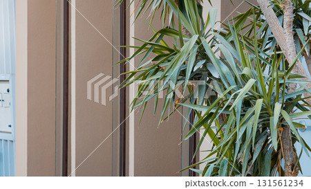 Modern green architecture, Plants beside building. High quality photo 131561234