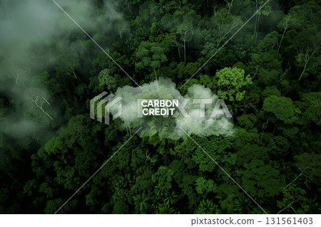 Carbon credit icons is on a cloud. Carbon credit concept. Tradable certificate to drive industry and company in the direction of low emissions in efficiency cost. 131561403