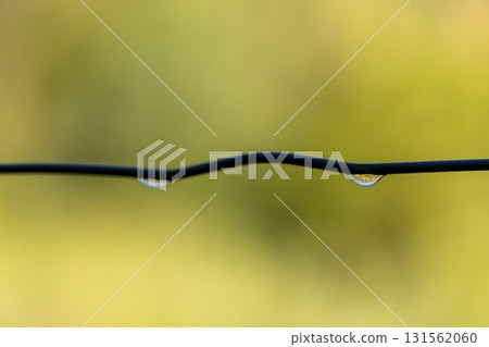 A wire fence with a droplet of water on it 131562060