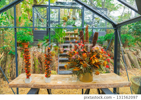 Halloween pumpkins in Hakone 131562097