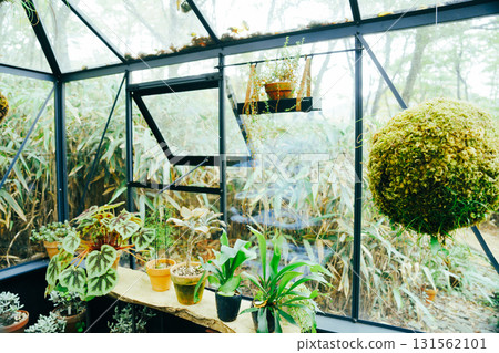 箱根的萬聖節南瓜 131562101