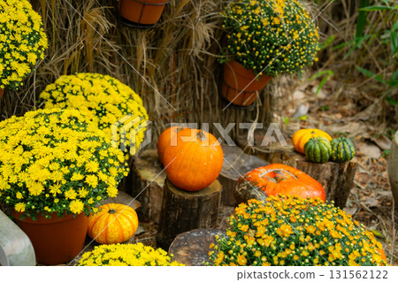 Halloween pumpkins in Hakone Halloween pumpkins in Hakone 131562122