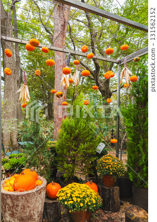 Halloween pumpkins in Hakone 131562152