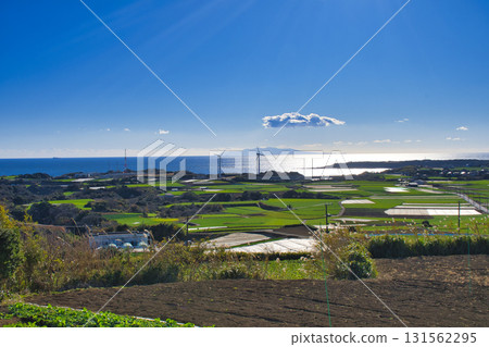 【神奈川縣】從三浦市最高峰岩殿山眺望 【神奈川縣】從三浦市最高峰岩殿山眺望 131562295