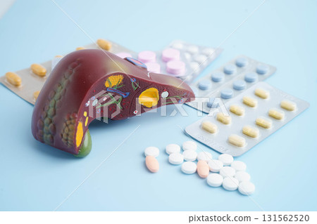 Liver model with pill drug treatment, Cirrhosis, Liver cancer, fatty liver. 131562520