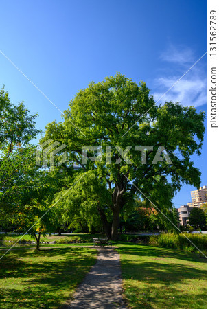 初秋的一天（中島公園）_0479 131562789
