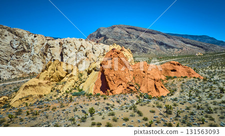 Aerial Dramatic Red and Yellow Rock Formations with Desert Vegetation 131563093