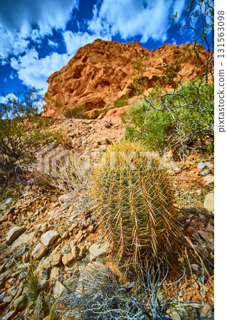 Desert Cactus and Red Rock Formation Under Blue Sky Nevada Desert Cactus and Red Rock Formation Under Blue Sky Nevada 131563098