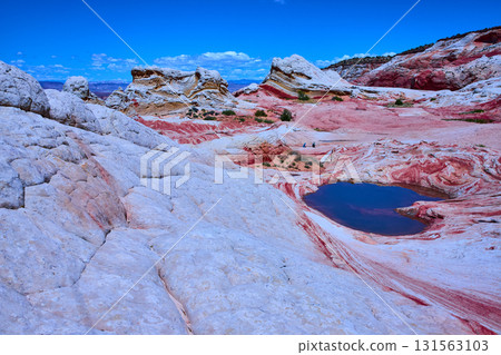 White Pocket Sandstone Formations with Reflective Pool and Distant Hikers Arizona White Pocket Sandstone Formations with Reflective Pool and Distant Hikers Arizona 131563103