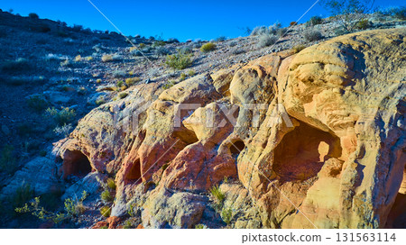 Eroded Sandstone Formations and Desert Vegetation at Golden Hour Eroded Sandstone Formations and Desert Vegetation at Golden Hour 131563114