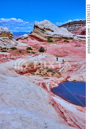 Colorful Swirling Formations with Hikers and Reflective Pool White Pocket Arizona Colorful Swirling Formations with Hikers and Reflective Pool White Pocket Arizona 131563115