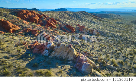 Aerial Red Rock Formations and Desert Landscape Gold Butte National Monument 131563119