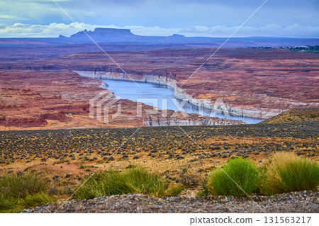 Lake Powell Blue Waters and Red Canyon Walls with Desert Vegetation Arizona 131563217