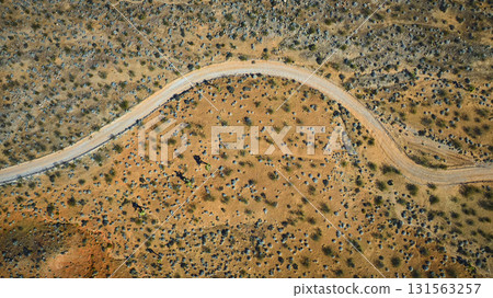 Aerial Winding Desert Road and Vegetation Pattern in Nevada Top Down 131563257